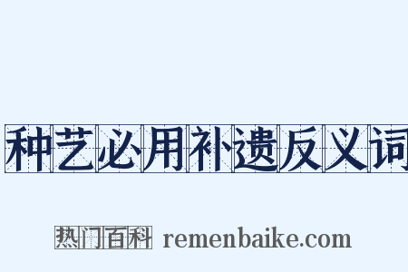 种艺必用补遗反义词是什么意思的图片